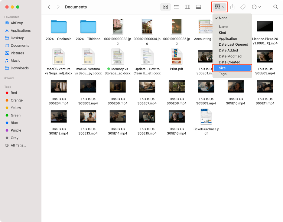 To clean up your Mac using Finder, open a folder, click the icon to sort out files, then select Size.