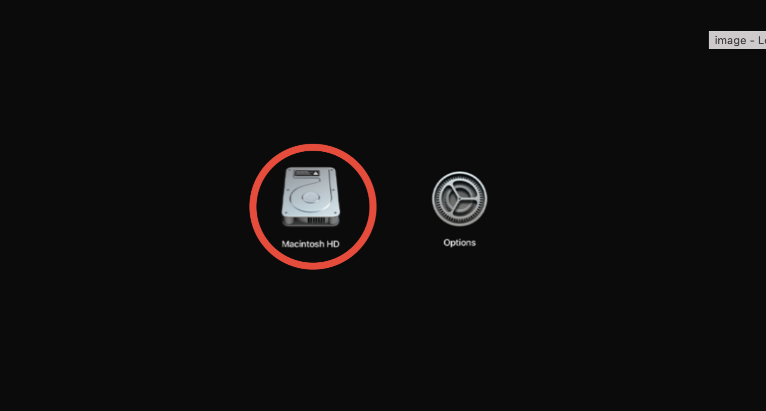 From there, you’ll be able to select the Disk that has your OS installed, this is likely going to be the Macintosh HD disk. Here you can click on the Disk you want your Mac to boot into.
