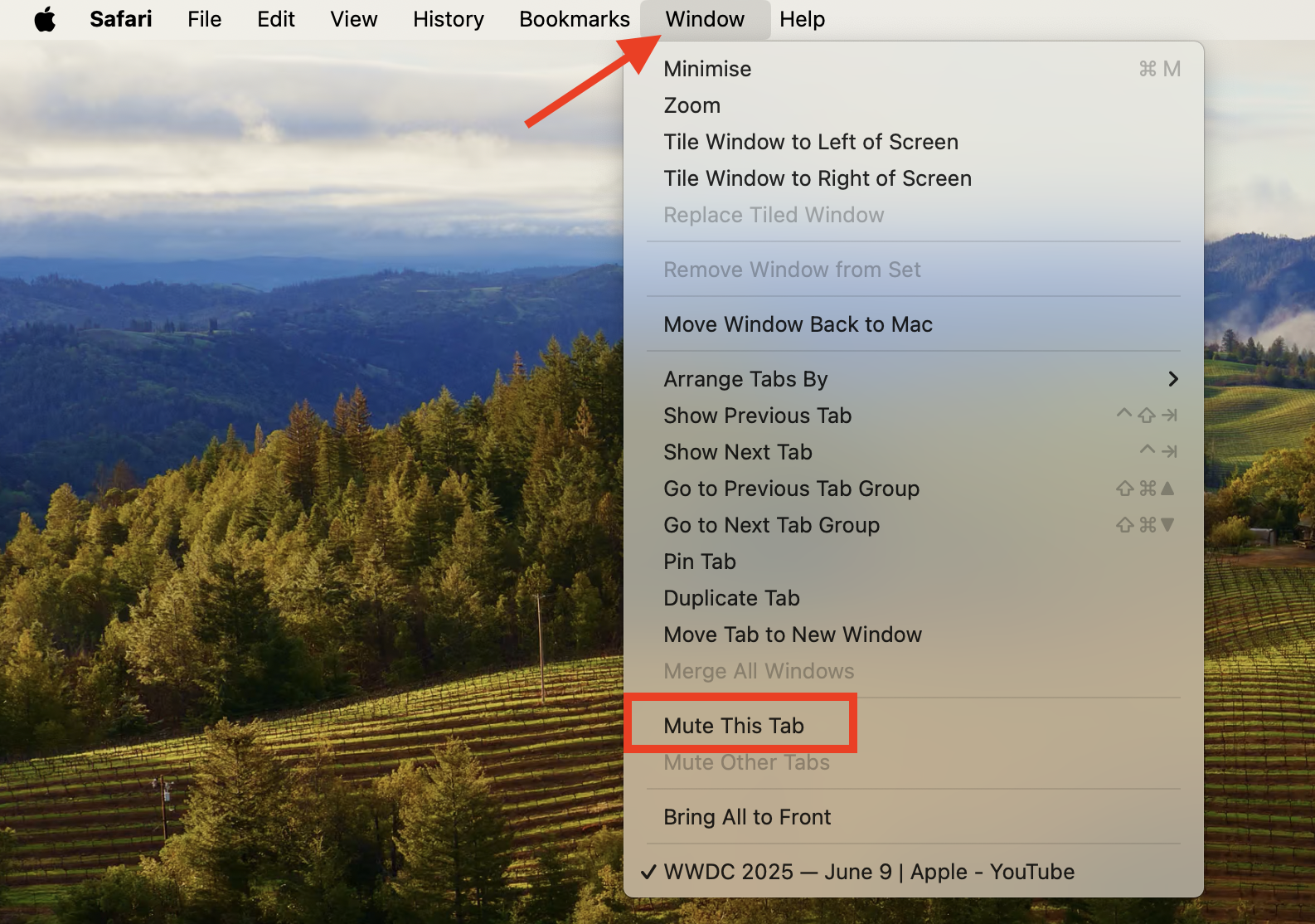 The Mute This Tab option in the Window menu in Safari on Mac. You can use this method to mute or silence an active tab in Safari on Mac.