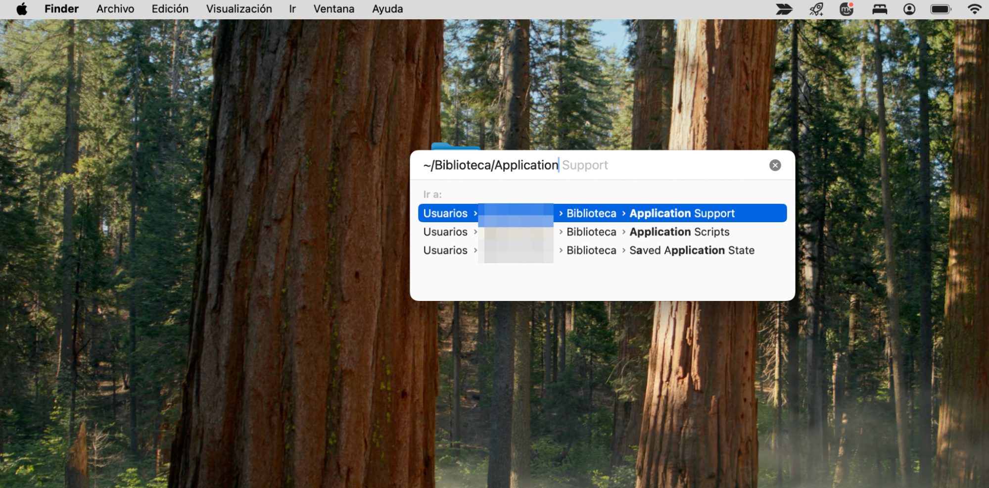 La ventana emergente Ir a la carpeta se abre a través del Finder en Mac y se escribe la ruta /Biblioteca/Application Support/Microsoft en la barra de búsqueda.