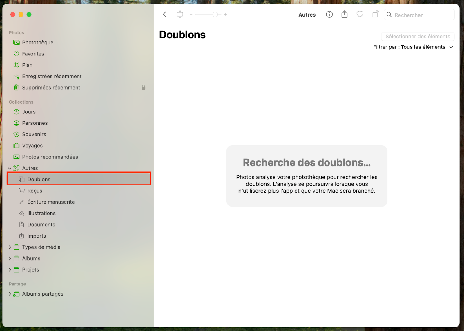 Pour trouver les photos en double sur le dossier Doublons de l'application Photos, cliquez sur Doublons et autorisez l'analyse de votre MacBook.
