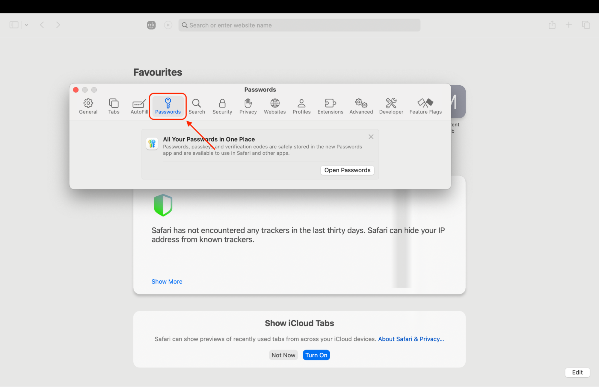 In Safari settings, select Passwords to manage and review saved credentials for secure login and website access.