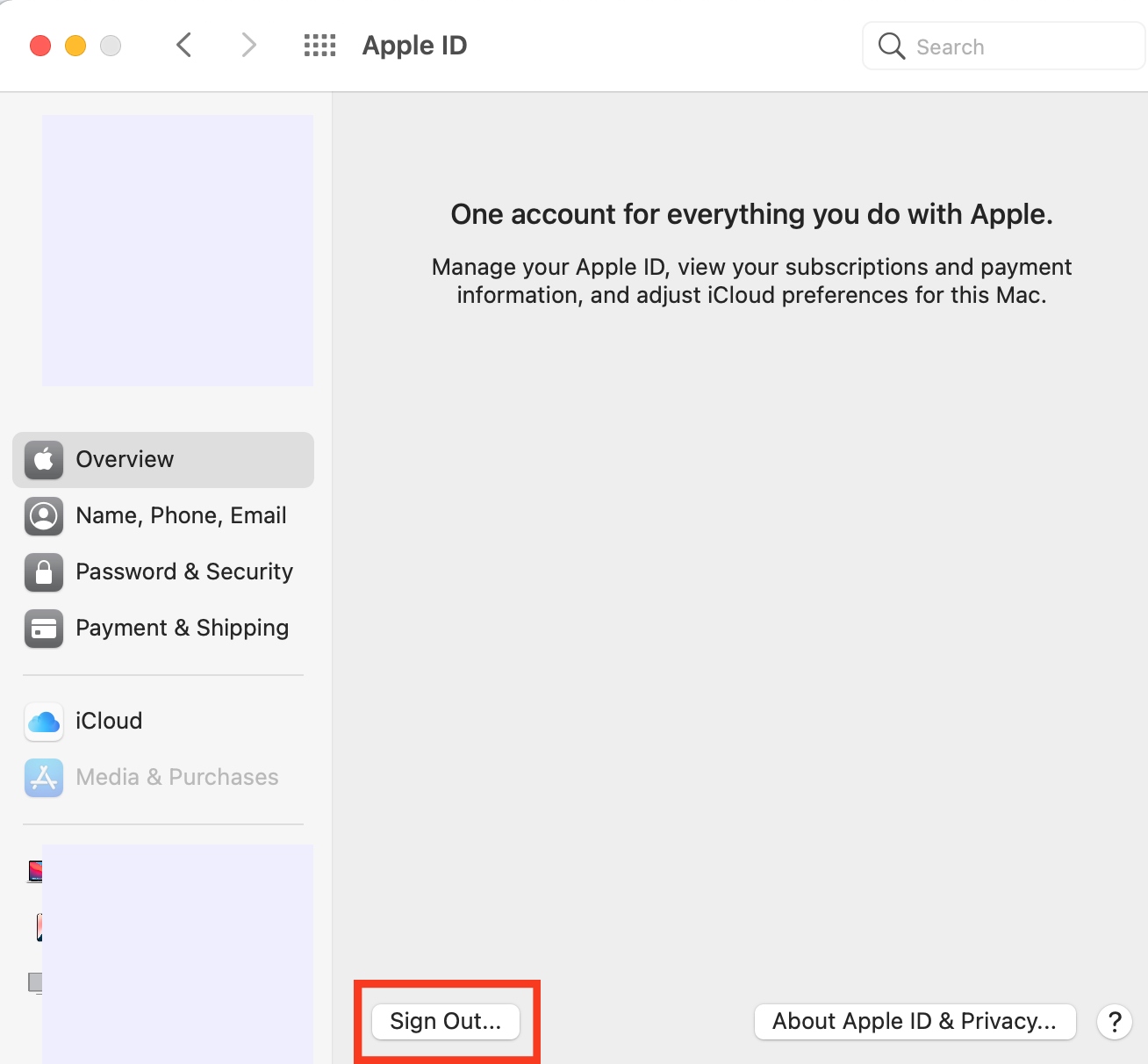 Apple ID settings are opened on a Mac. Sign out of your iCloud and Apple ID before performing a macOS Monterey factory reset.