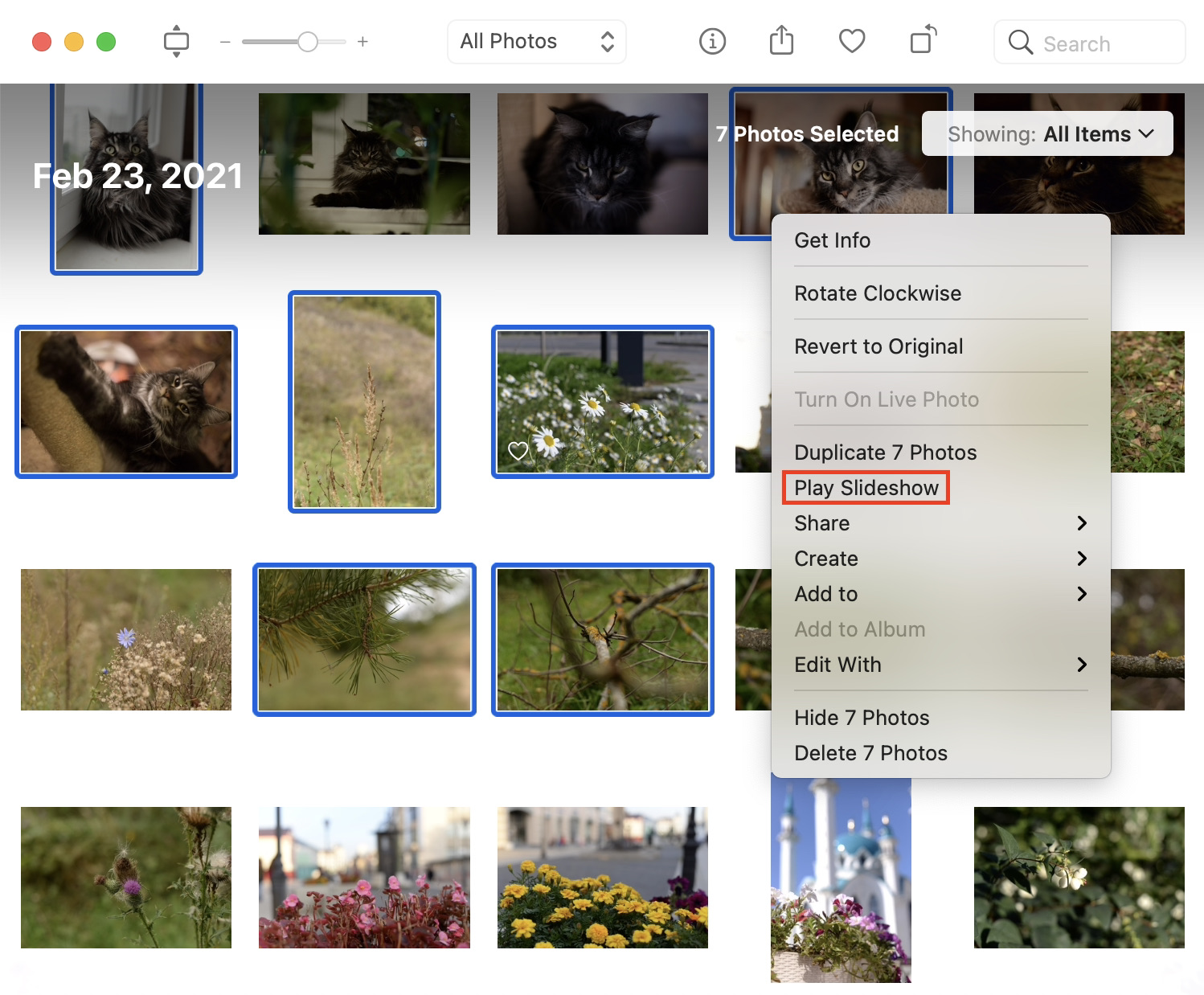 photos app play slideshow