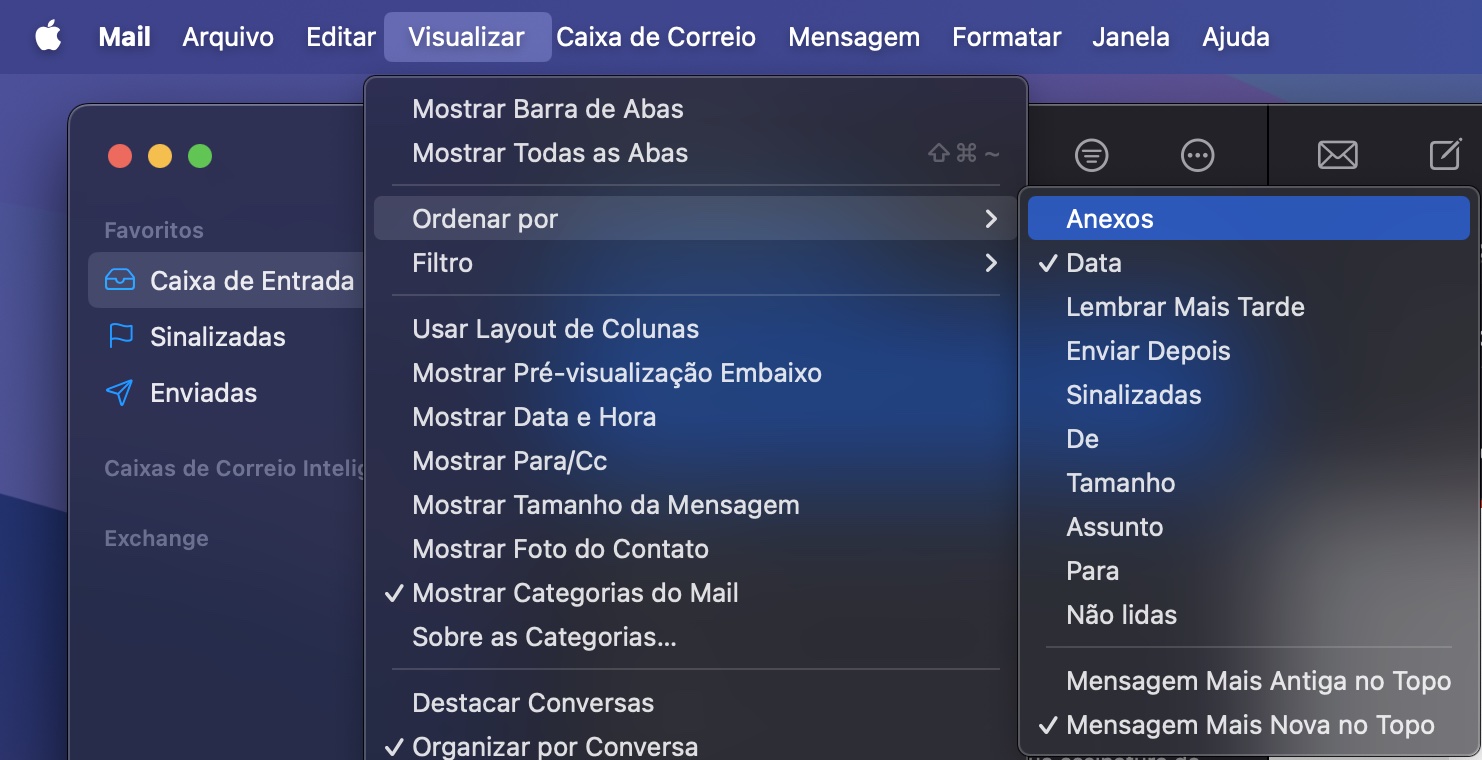 Para limpar anexos, abra o app Mail e, na caixa de entrada escolhida, clique em Visualizar. A partir daí, você encontrará a opção para ordenar os emails por anexo. Selecione essa opção e suas mensagens serão reorganizadas.