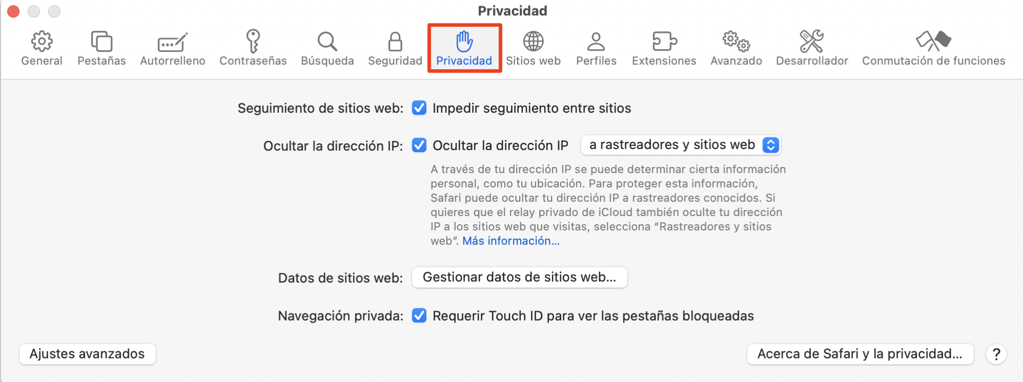 El siguiente paso en este proceso es ir a Ajustes, hacer clic en la pestaña Privacidad.