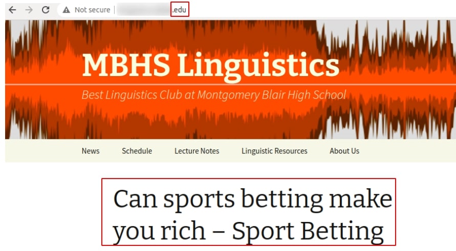 sports ad on edu webpage