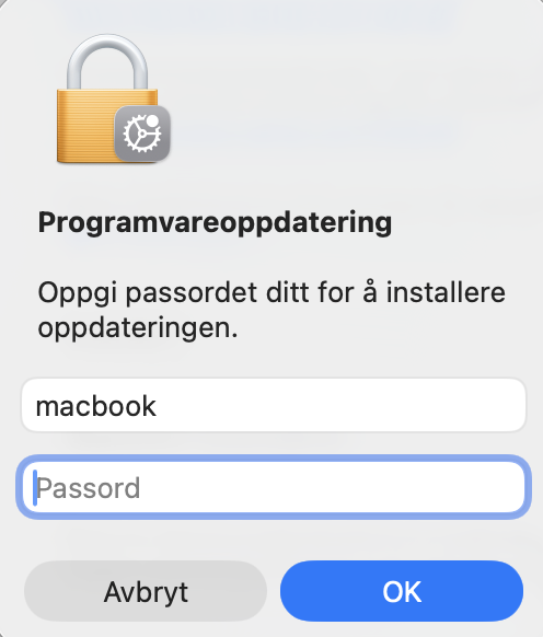 Hvis Macen din har funnet ventende oppdateringer, kan du – etter at du har sikkerhetskopiert de viktige filene dine og avsluttet alle unødvendige apper – starte oppdateringen ved å angi administratornavn og passord. Deretter starter oppdateringen umiddelbart.