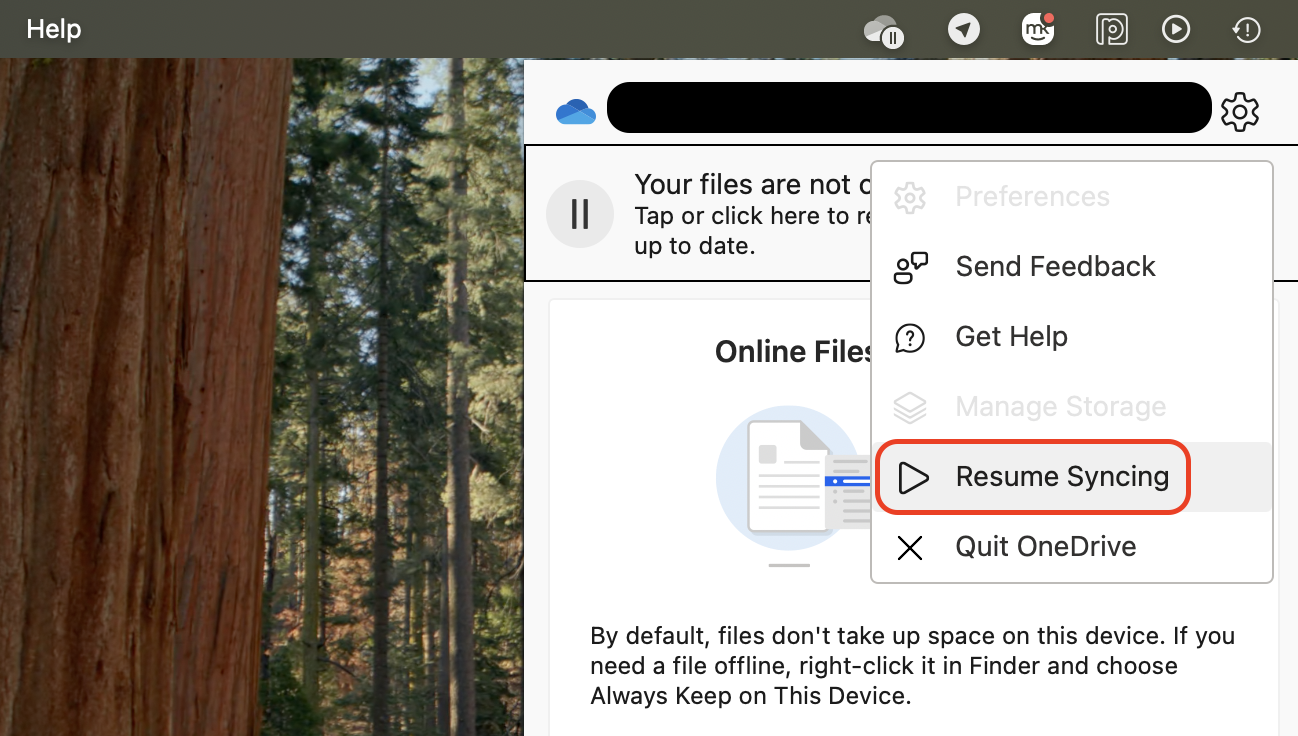 Open Help & Settings again and choose Resume syncing to restart file synchronization and continue updating your OneDrive files.