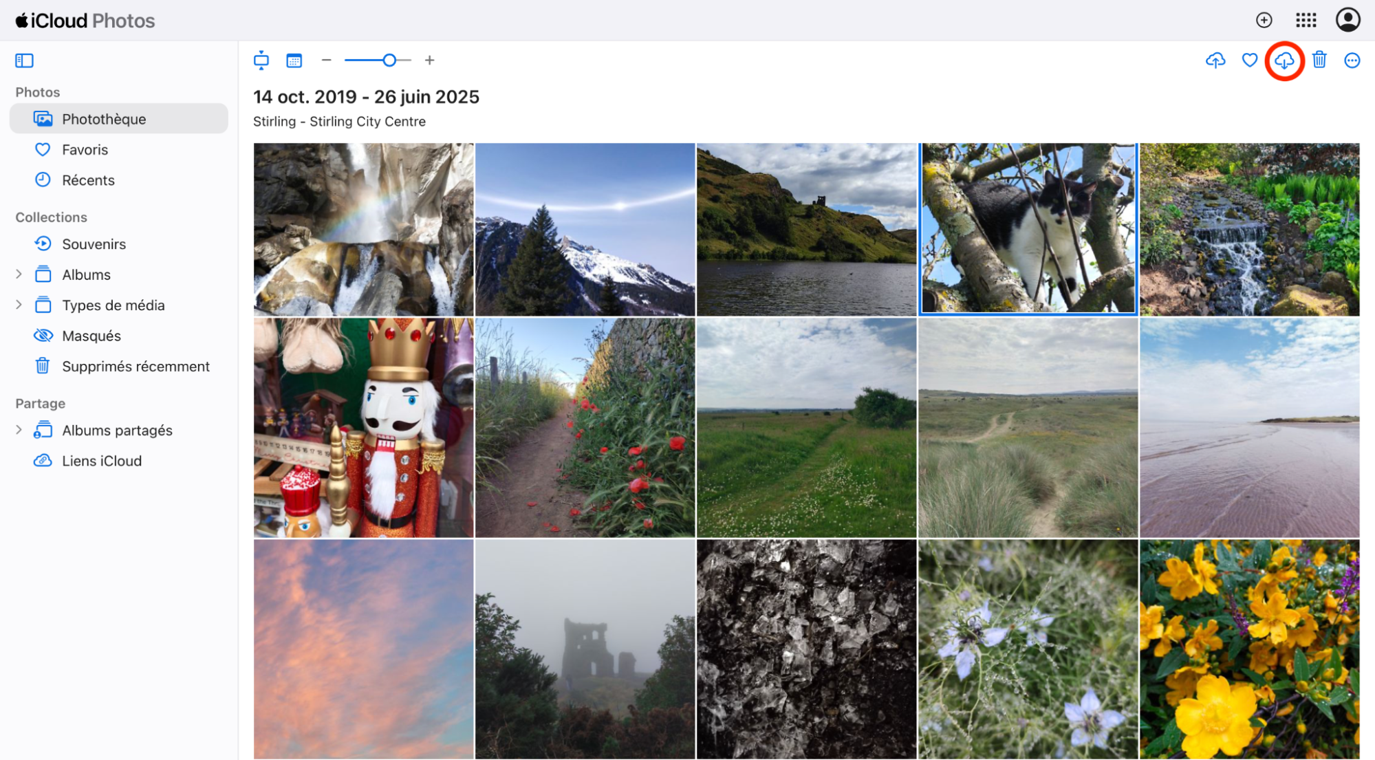 Une fois vos photos choisies pour le transfert vers votre Mac, cliquez sur l’icône Cloud, comportant une flèche orientée vers le bas, pour lancer le processus de téléchargement.