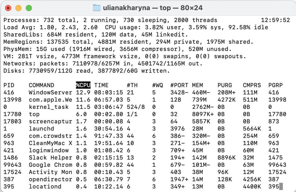You can sort all your system processes by typing either top -o cpu to sort by CPU usage or top -o size to sort by memory.