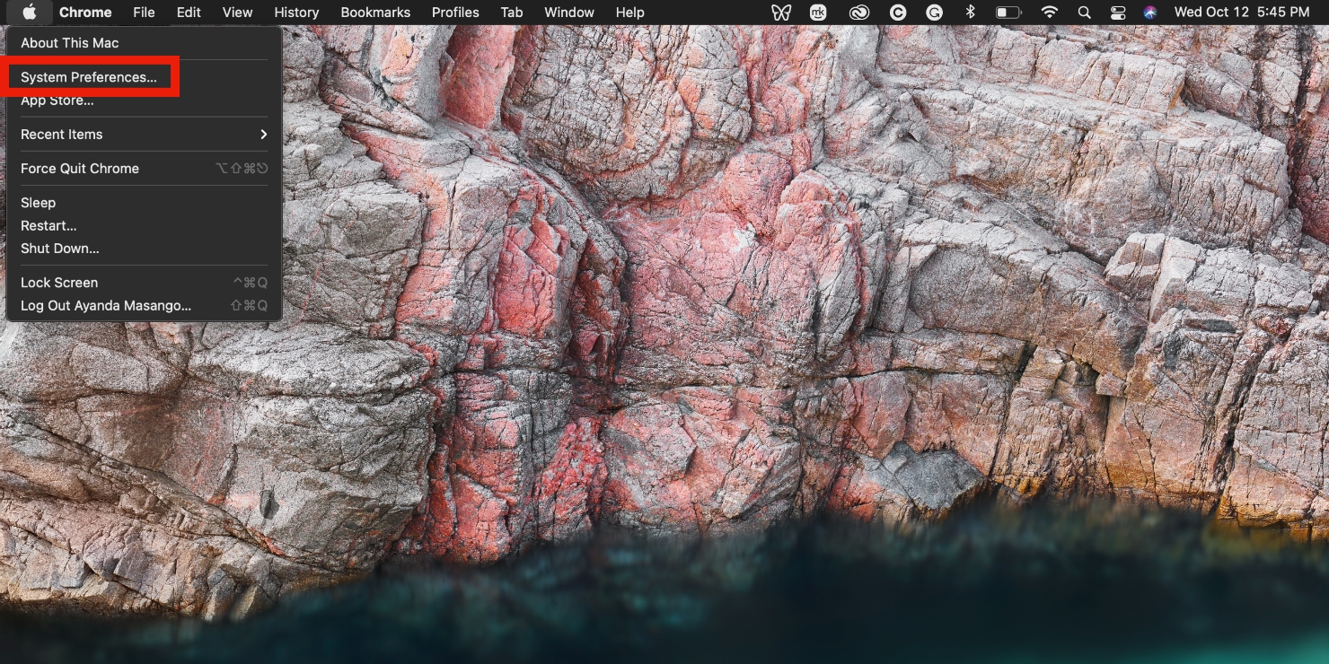 the system preferences option is outlined in red in Apple's drop-down menu in the top-left corner of a Mac against a natural desktop image