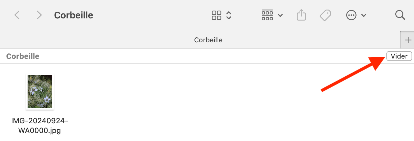 Vous pouvez toujours accéder à la corbeille en Mode sans échec. Après avoir maintenu la touche Option au démarrage, allez dans Corbeille > Vider pour supprimer les fichiers.