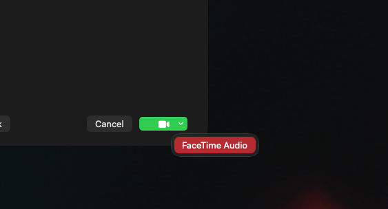 If you don’t want to make a video call, you can also just make an audio-only voice call. Click the down arrow next to the FaceTime button, then select ‘FaceTime Audio’.
