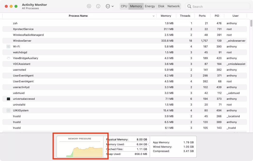 activity monitor  