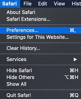 Safari User Interface Safari User Interface