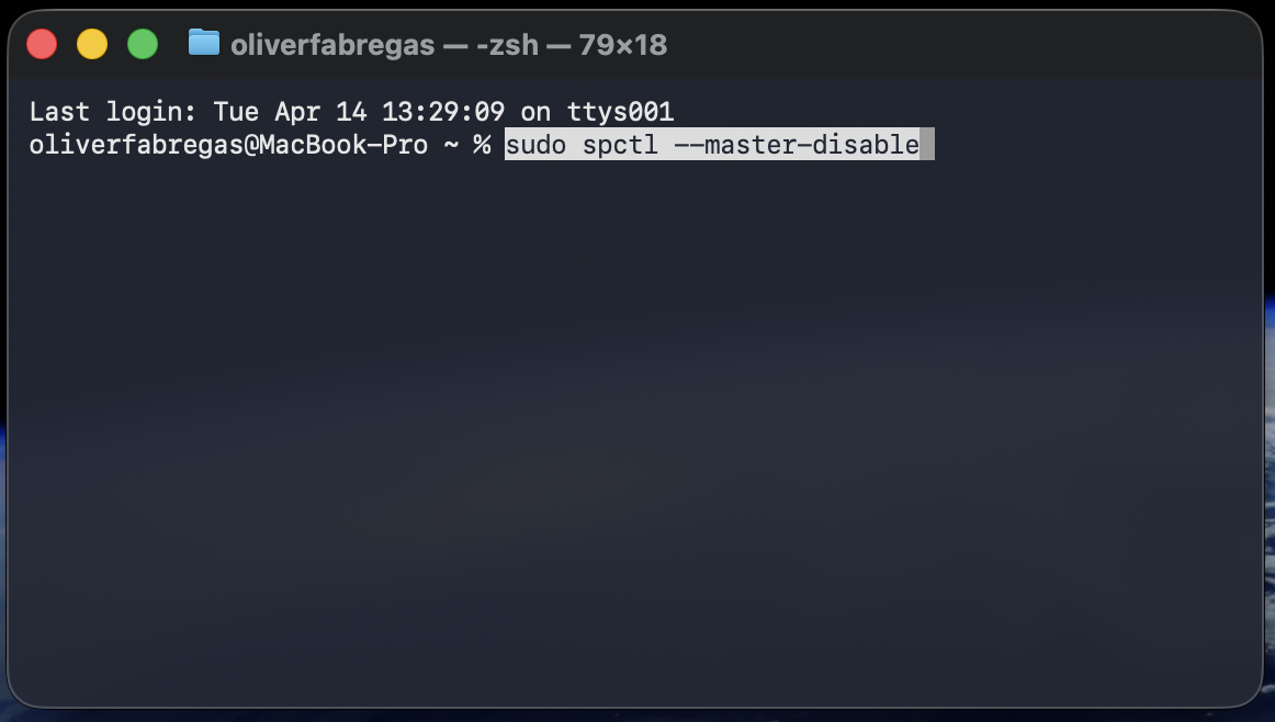 Entering sudo spctl --master-disable in the Terminal window on macOS temporarily disables Gatekeeper to allow the blocked app to run.
