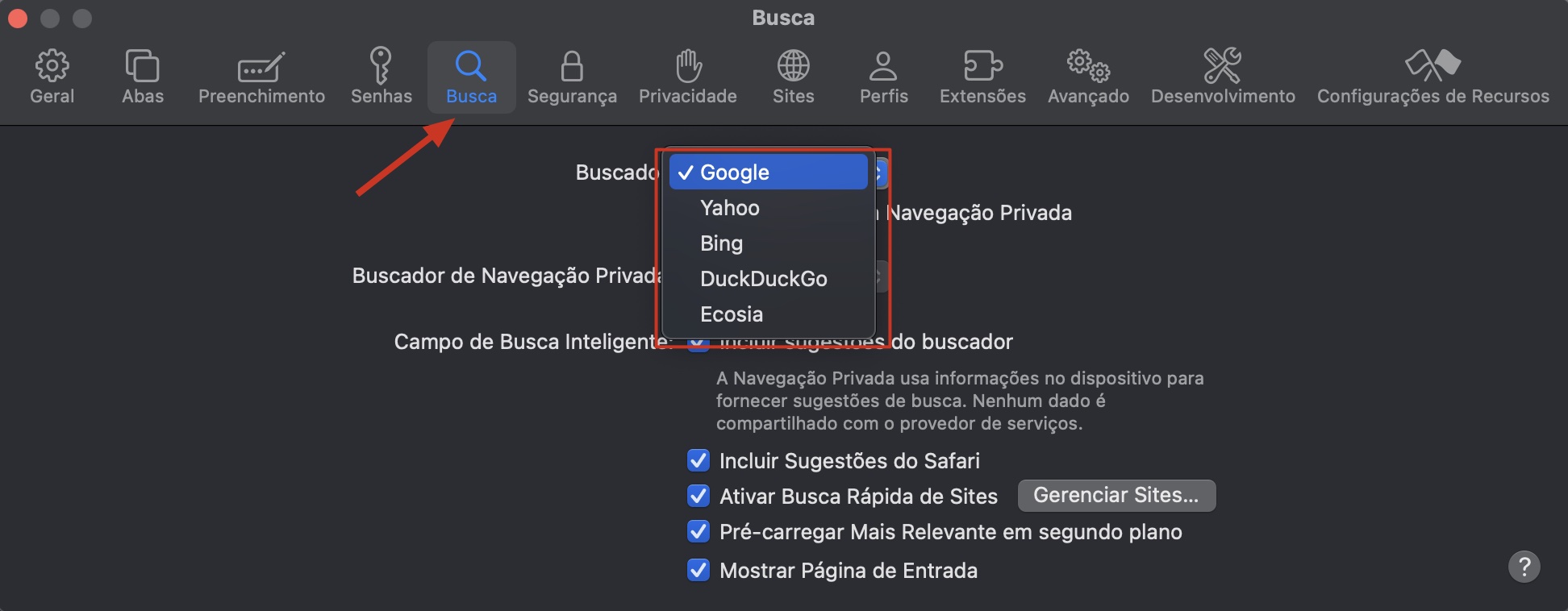 O menu Busca dentro do Safari no Mac. Verifique seu mecanismo de busca e use o menu suspenso para alterá-lo se necessário.