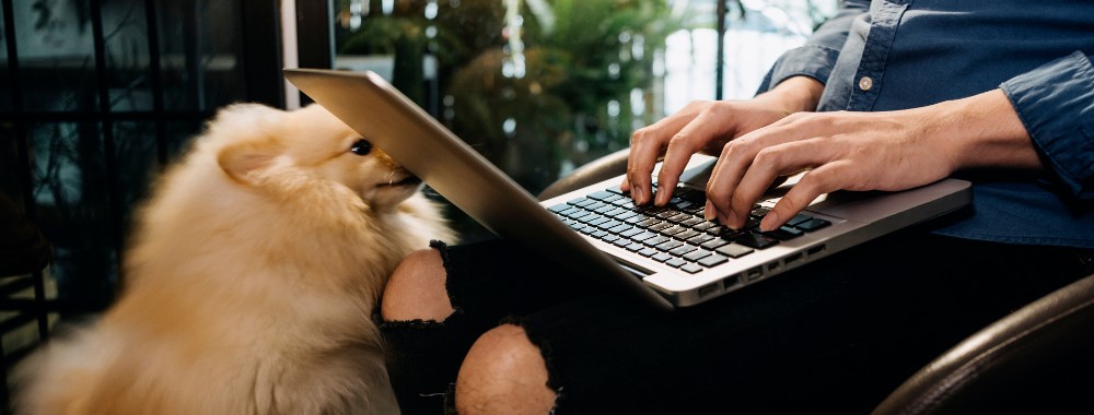 Comment Supprimer les Anciennes Mises à Jour Logicielles Sur Mac