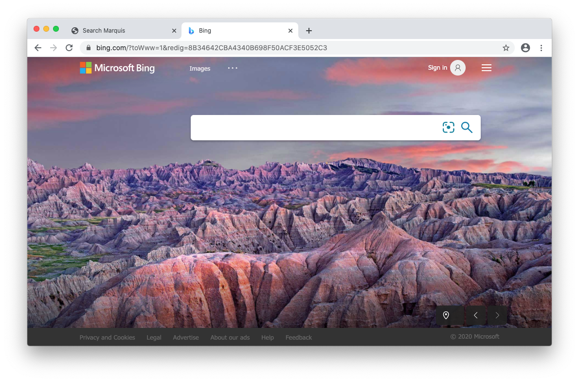 how to remove flash from mac chrome