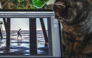 Best 11 Snipping Tools for Mac Best 11 Snipping Tools for Mac