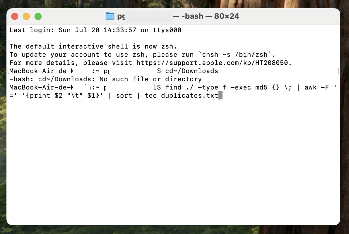 Une commande Terminal affiche les MD5, affichant les doublons dans le dossier Téléchargements de Mac.
