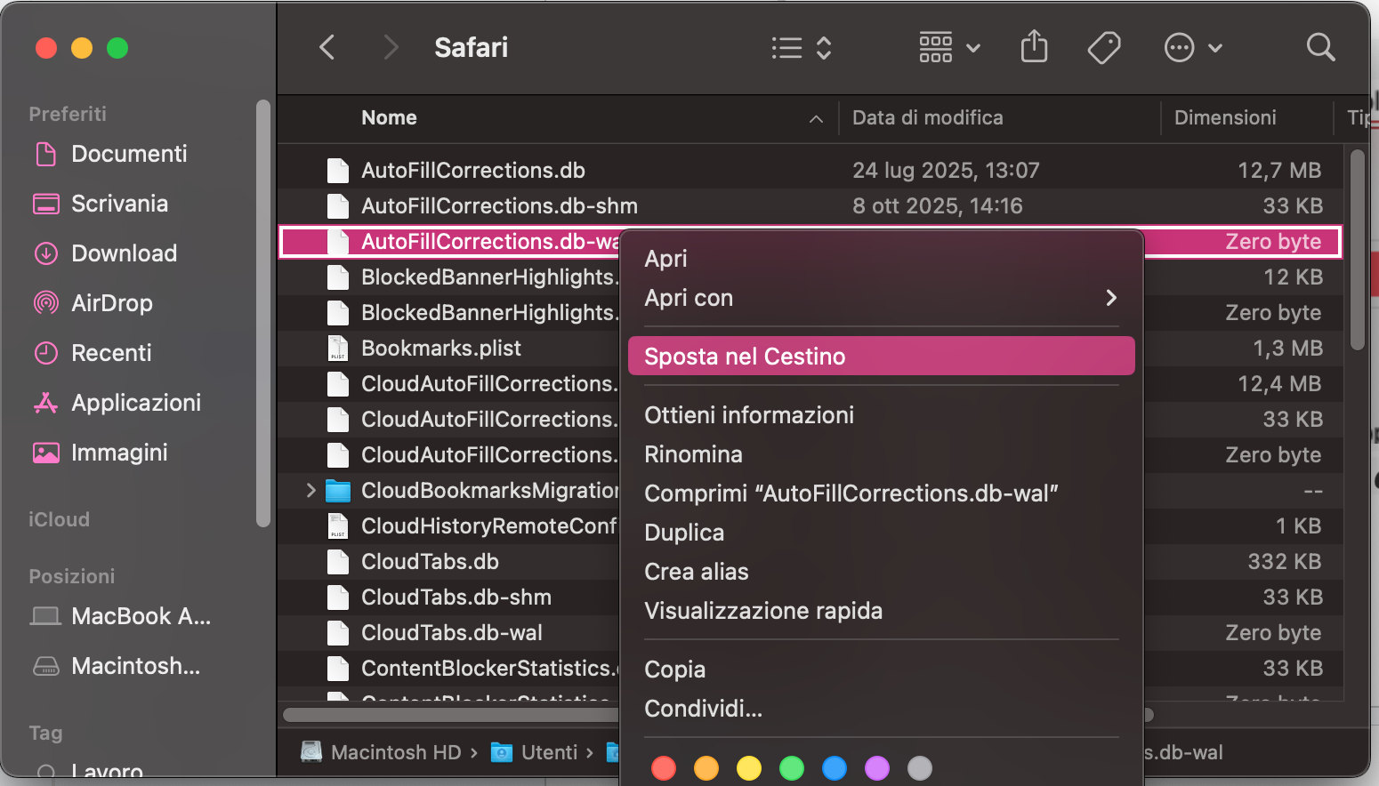 Cerca il file delle preferenze di Safari, poi eliminalo. Spostalo nel Cestino del Mac e assicurati di svuotarlo per cancellare definitivamente il file.