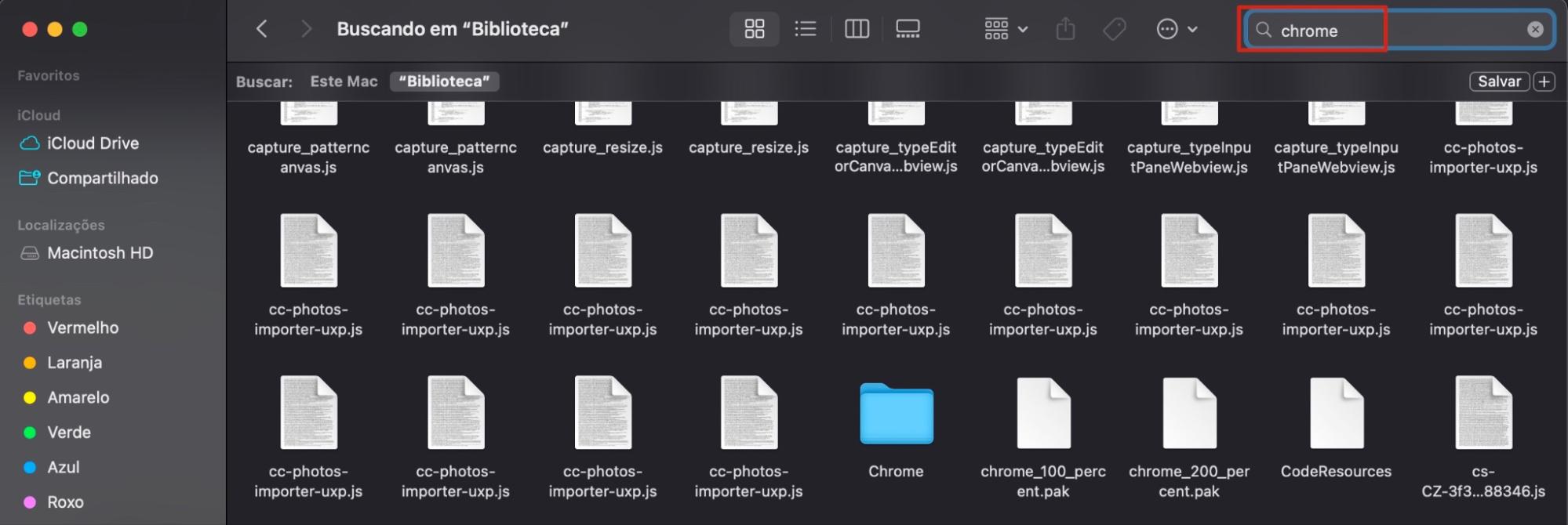 O processo de busca pelo aplicativo necessário na pasta Biblioteca é exibido em andamento. No canto superior direito, você vê o campo de busca para digitar o nome do aplicativo.