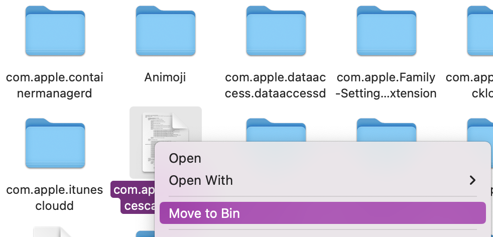 For any unnecessary or old files you no longer need, right-click and Move to Bin. Just don't forget to empty your Bin afterwards so no old system files exist before upgrading to macOS Ventura.