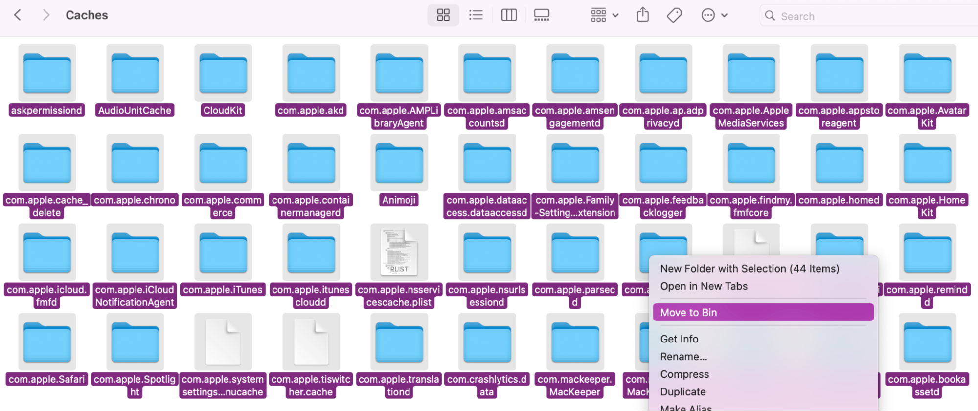 Open Finder’s Go to Folder and type in ~/Library/Caches. Once you hit Enter, you’ll see all your cache folders and files. Highlight them, and select Move to Bin. This should free up essential storage to support macOS Tahoe.