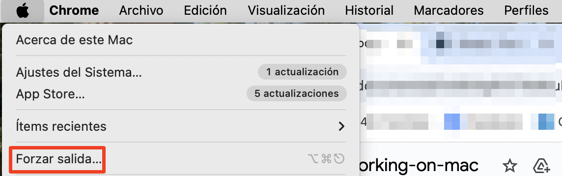 Para forzar el cierre de Chrome, ve al logotipo de la aplicación y haz clic en «Forzar salida».