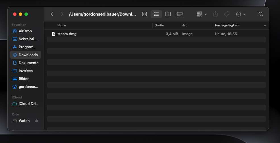 Der Ordner Downloads in macOS zeigt das Installationsprogramm Steam.dmg an, nachdem es von der Steam-Webseite heruntergeladen wurde.
