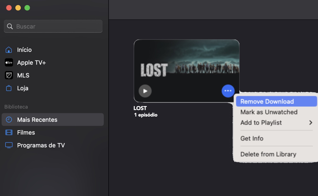 Clique nos três pontos ao lado do item que você deseja excluir e confirme a remoção clicando na opção Remover Download.