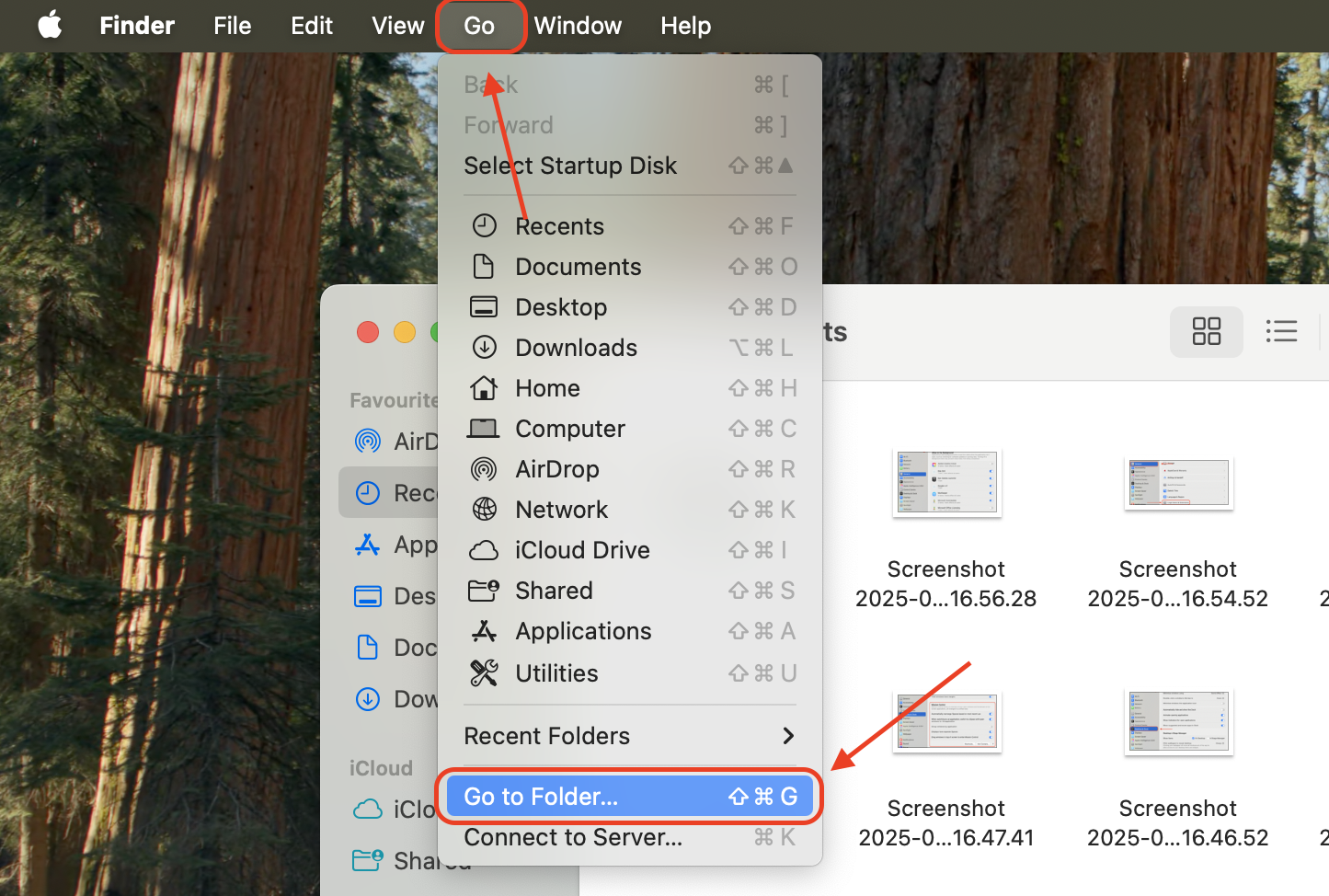 In the Finder menu bar, click Go, then choose Go to Folder to enter a specific system path or library location on your Mac.
