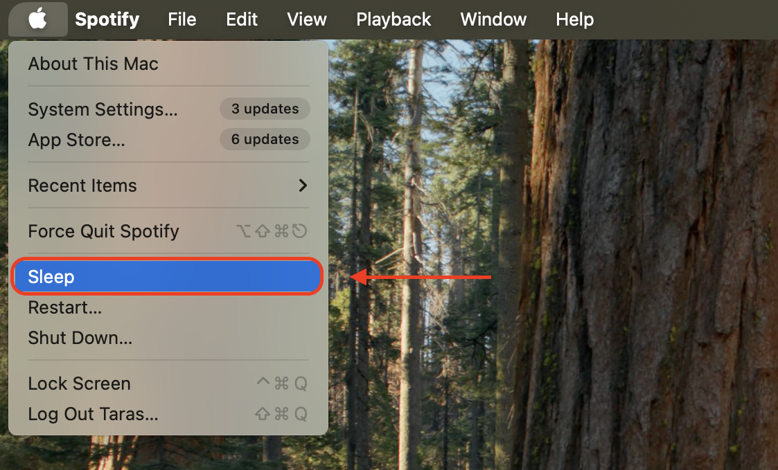 From the Apple menu, select Sleep to manually put your Mac into low-power mode without triggering automated display or system conflicts.