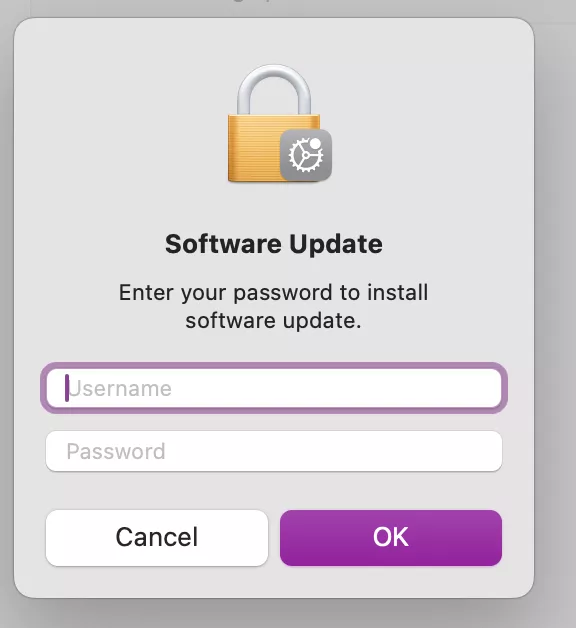 If you're asked, enter your password to authorize the update and begin the software update. This step confirms that you have permission to make system changes. After entering your password, macOS will start installing the update.