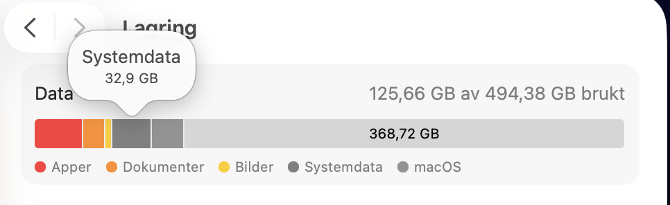 Du kan se hvor mye systemdata som brukes på Macen din ved å gå til Systeminnstillinger og deretter holde musepekeren over seksjonen Lagring. En fane viser deg den totale mengden.