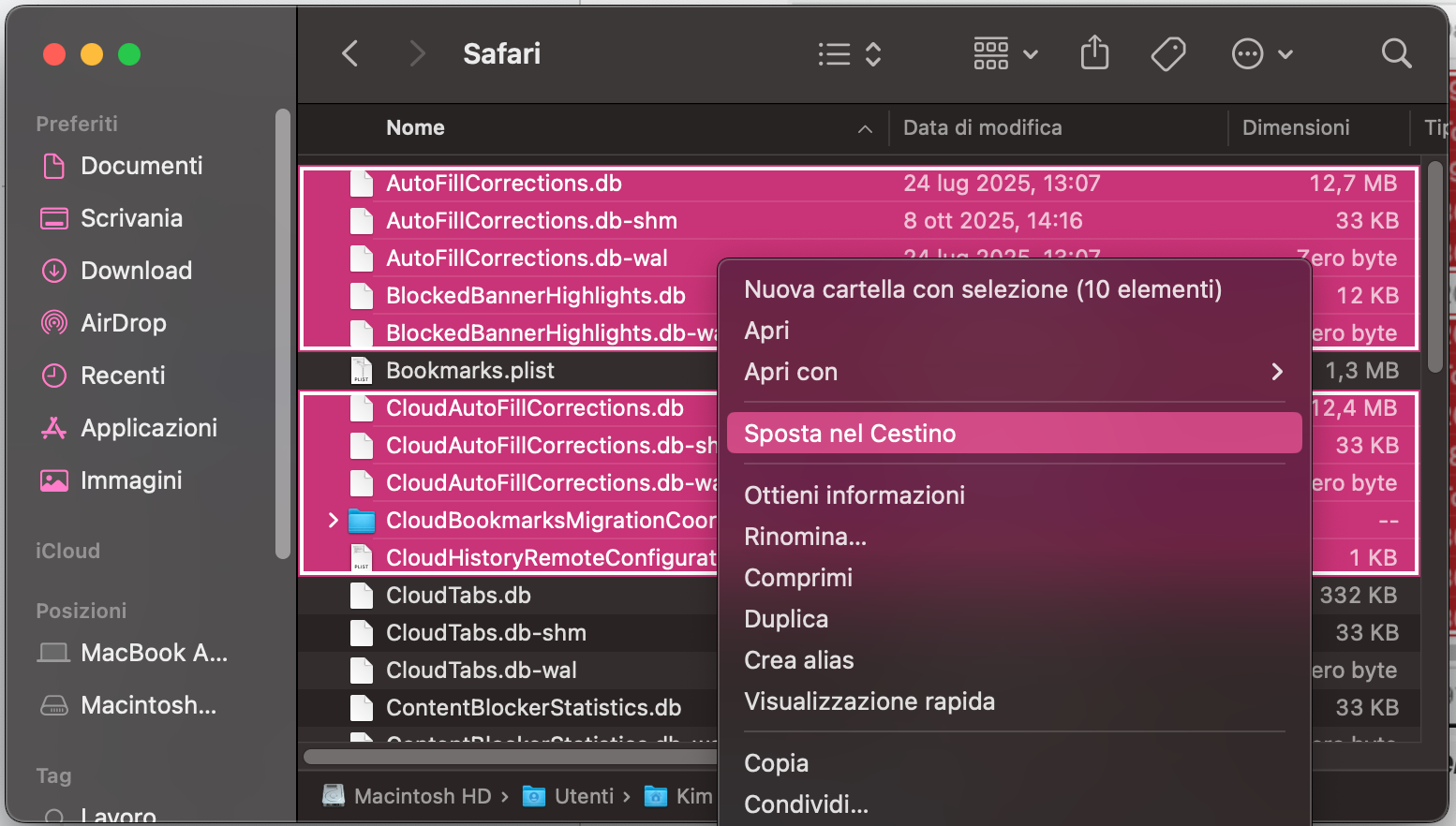 Usa Vai alla cartella per aprire la cartella ‘~/Library/Safari/’. Elimina tutto tranne i segnalibri. Non dimenticare di svuotare il Cestino dopo.