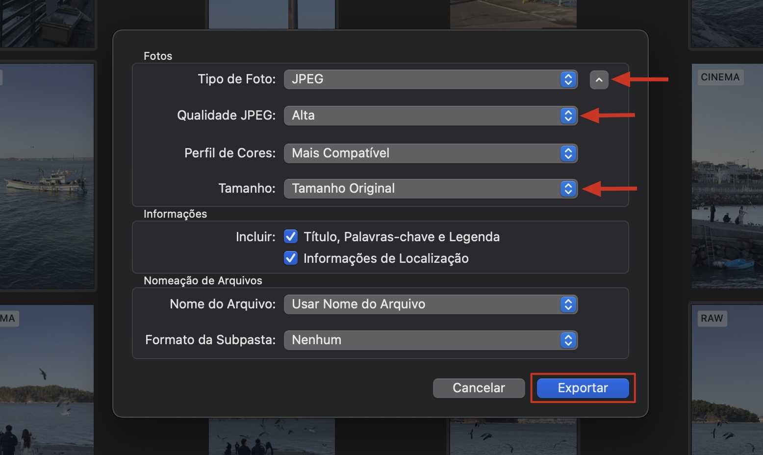 Converta o formato do seu arquivo para JPEG. Você também deve mudar a qualidade e ter em mente o tamanho geral do arquivo. Clique em Escolher para iniciar o processo de Exportação.
