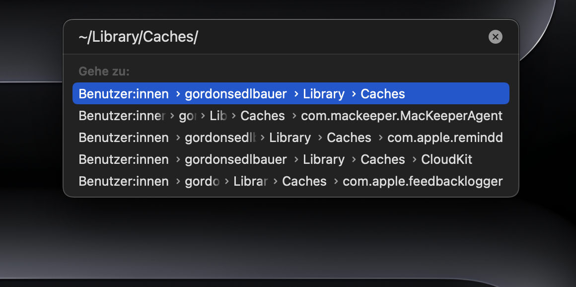 Im zweiten Schritt dieses Vorgangs geben Sie zunächst ~/Library/Caches/ in die Suchleiste Gehe zu Ordner ein und klicken Sie die Eingabetaste, um den Cache von Safari auf dem Mac zu öffnen.