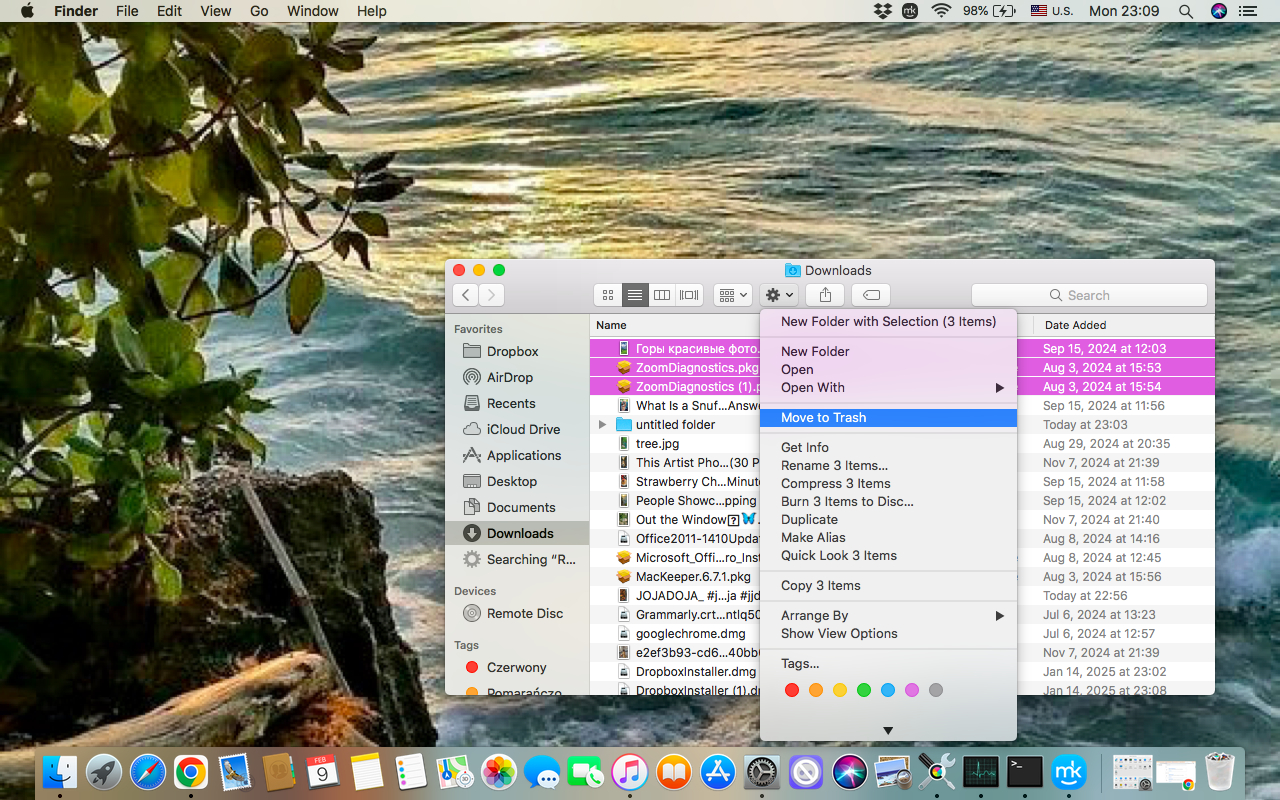 To remove the downloads completely from your Mac, not just the downloading history, go to Finder, then open the Downloads folder in the left sidebar, select unnecessary files, and Move Them to Trash.