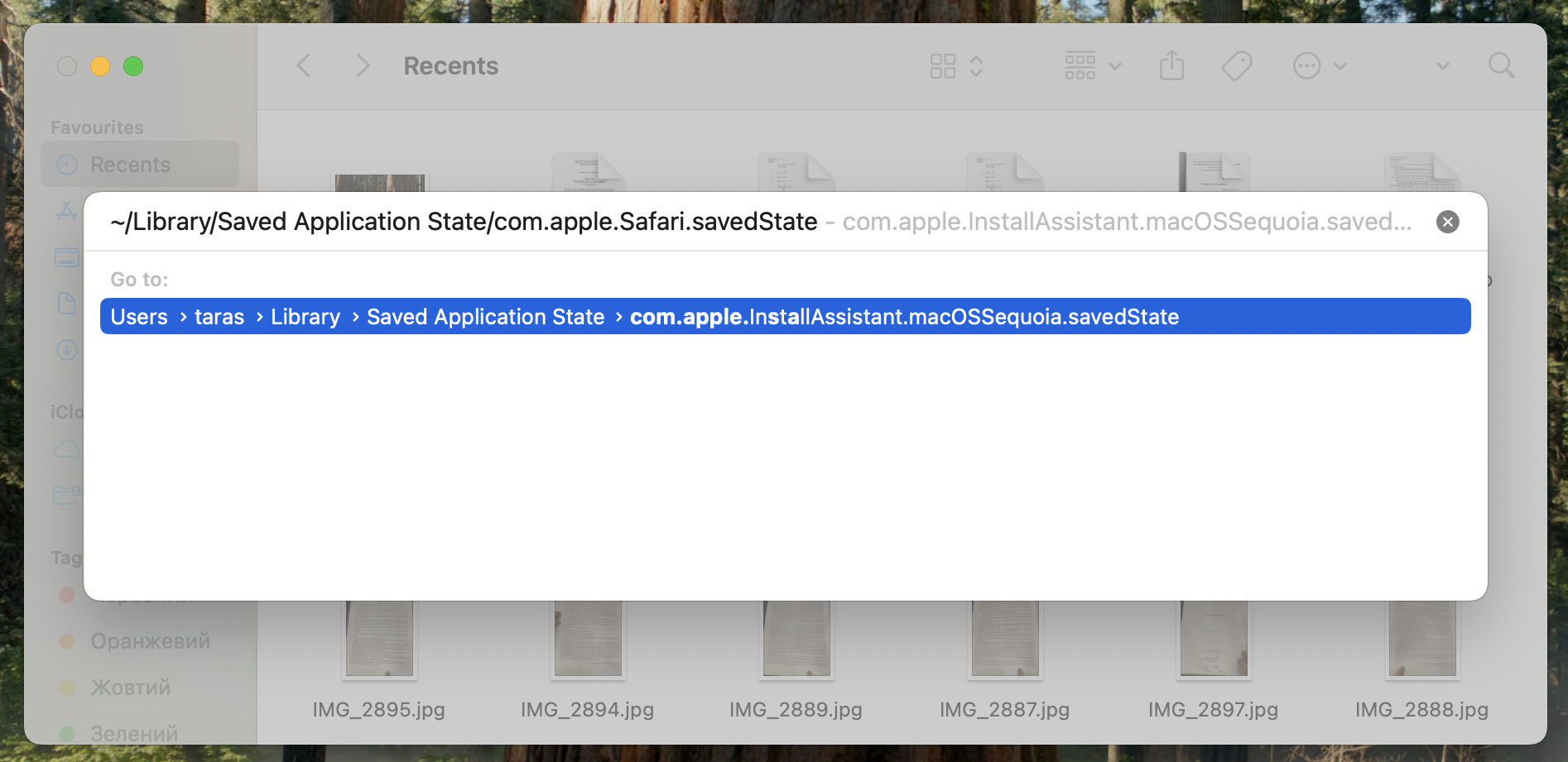 Paste ~/Library/Saved Application State/com.apple.Safari.savedState into the Go to Folder field, then press Return to access Safari's saved state folder for cleanup.