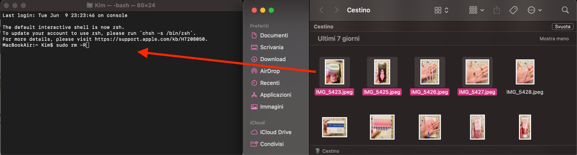 La finestra del Terminale aperta accanto a una finestra del Cestino su Mac. Per forzare lo svuotamento del Cestino, trascina i file dalla finestra del Cestino nel Terminale dopo aver digitato il comando sudo rm -R.