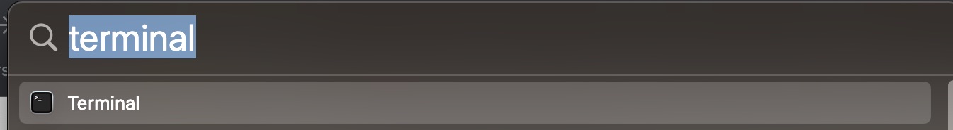 Löschen Sie den veralteten Mac-Cache. Um den DNS-Cache zu leeren, suchen Sie in Spotlight nach Terminal.