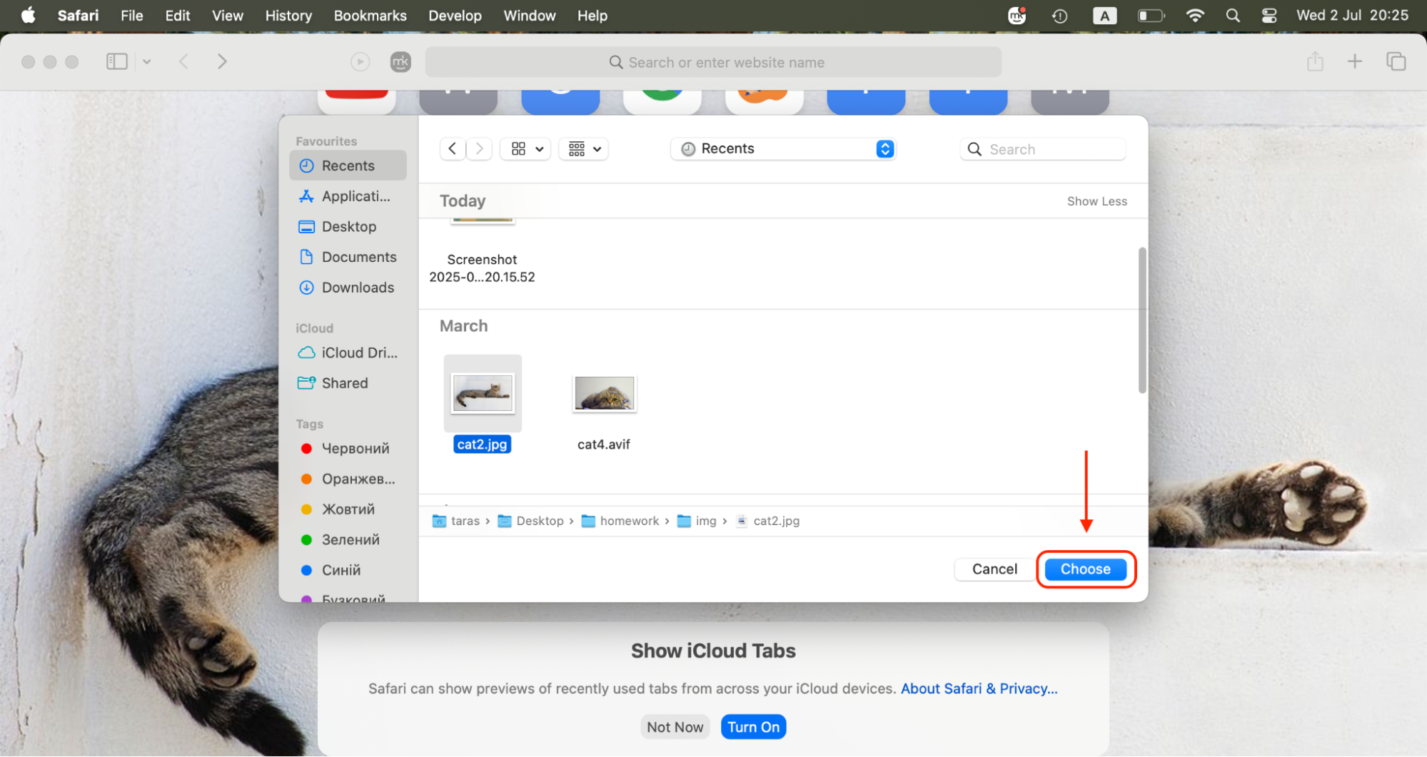 Pick a high-resolution .jpg or .png image from your Mac, then click Choose to apply it as your Safari Start Page background instantly.