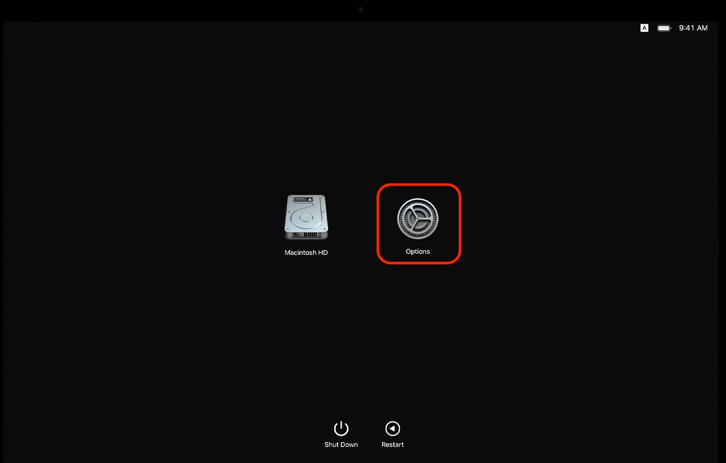 The Options icon appears in macOS Recovery Mode. Click on it to fix the a software update is required to use the startup disk error.