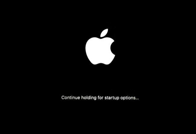 The startup options screen on Mac. Keep holding the power button until you see this screen to stop mdsync issues in Safe Mode.