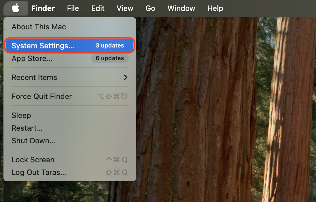Click the Apple logo located in the top-left corner of your screen to access the main system menu.