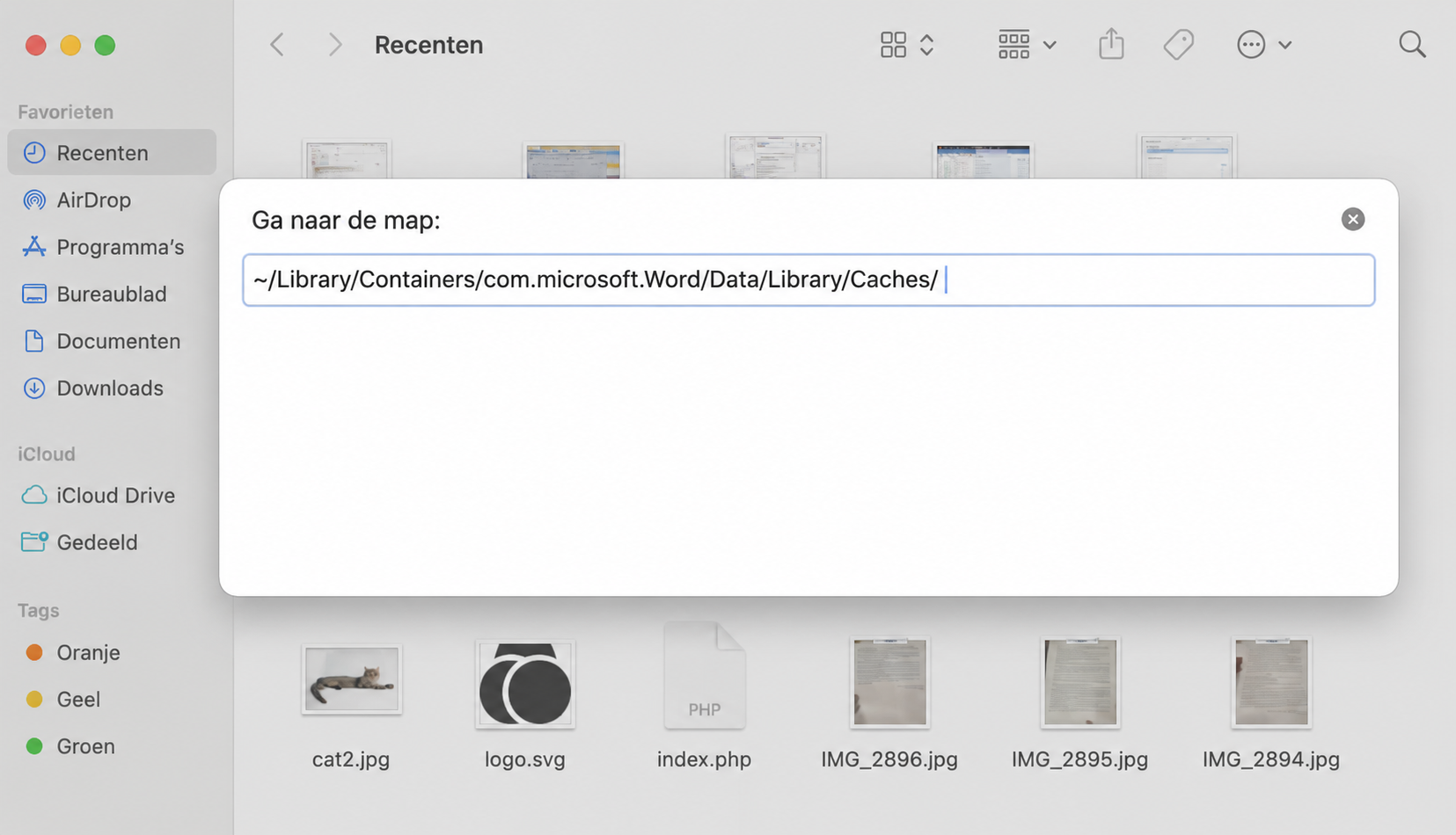 Voer het pad ~/Library/Containers/com.microsoft.Word/Data/Library/Caches/ in het vak Ga naar map in en druk op Return om de cachemap van Word te openen.