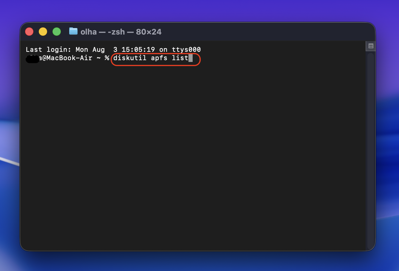 In the Terminal window, copy and paste the command diskutil apfs list and press Enter to disable FileVault on your Mac device.